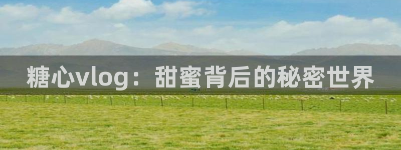 捅主任糖心vlog:糖心vlog:甜蜜背后的秘密世界