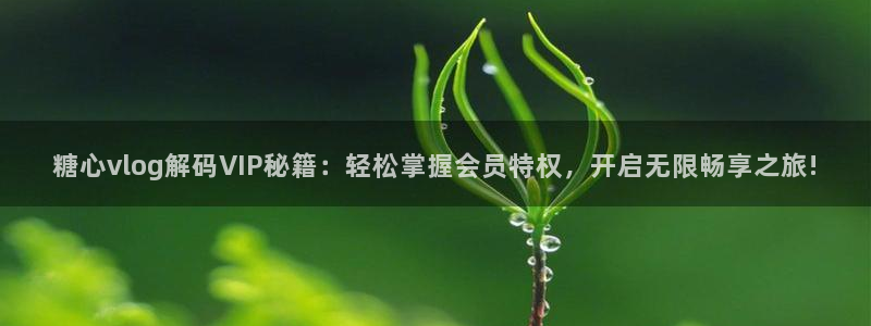 糖心vlog充值：糖心vlog解码VIP秘籍：轻松掌握会员特权，开启无限畅享之旅