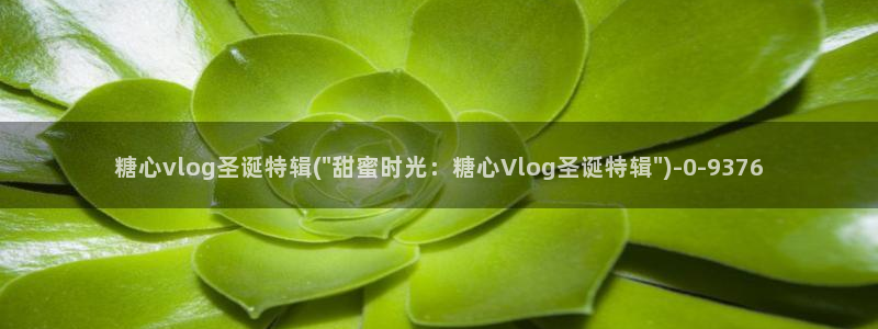 糖心成人vlog:糖心vlog圣诞特辑(\