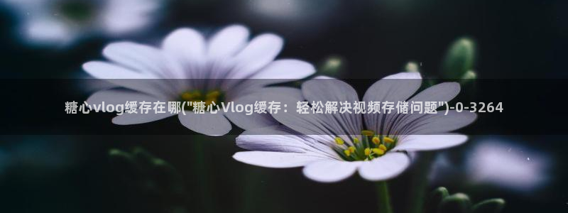 糖心vlog小桃酱住址:糖心vlog缓存在哪(\