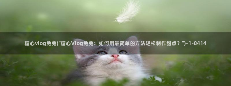 糖心vlog入口在线：糖心vlog兔兔(