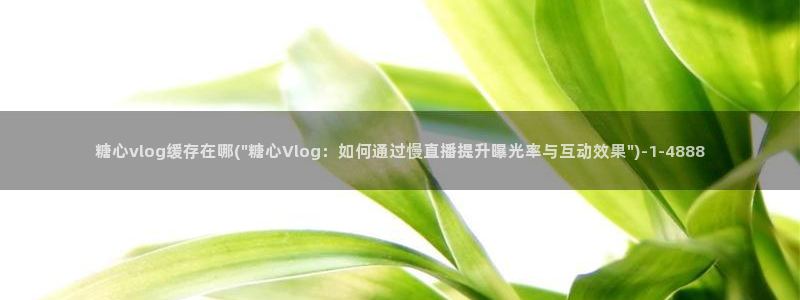 糖心vlog兑换
